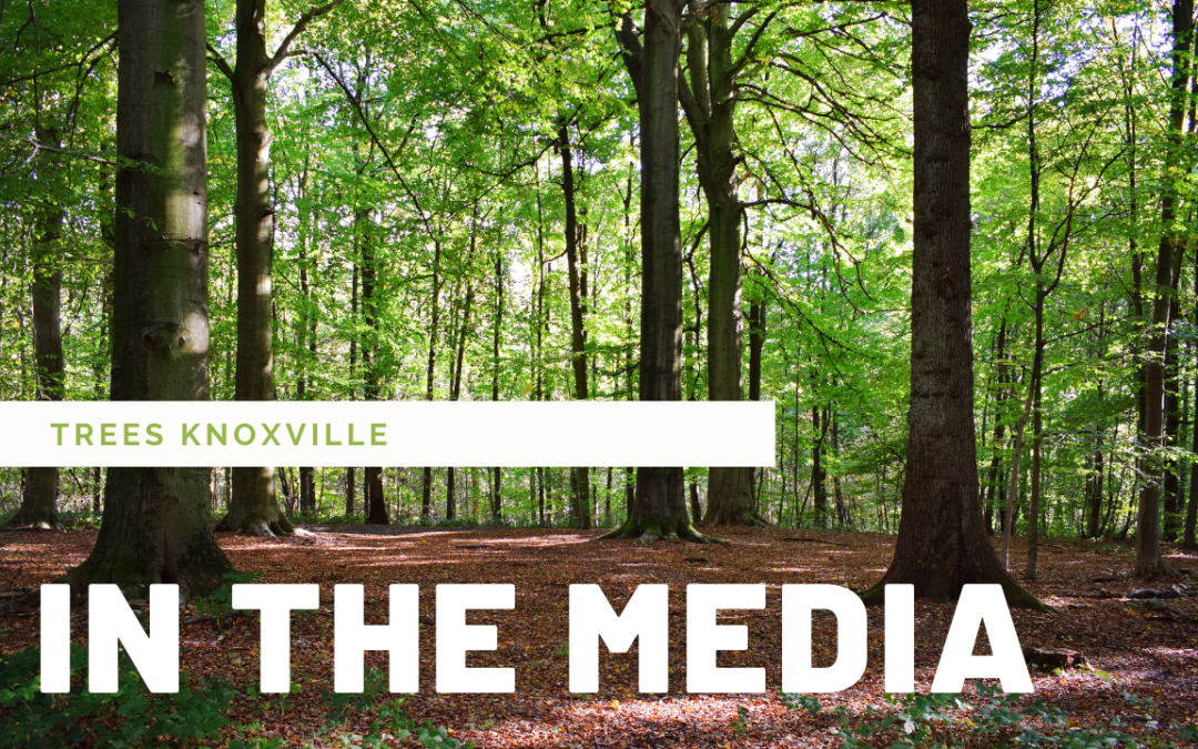 WBIR highlights our new Urban Forest Master Plan